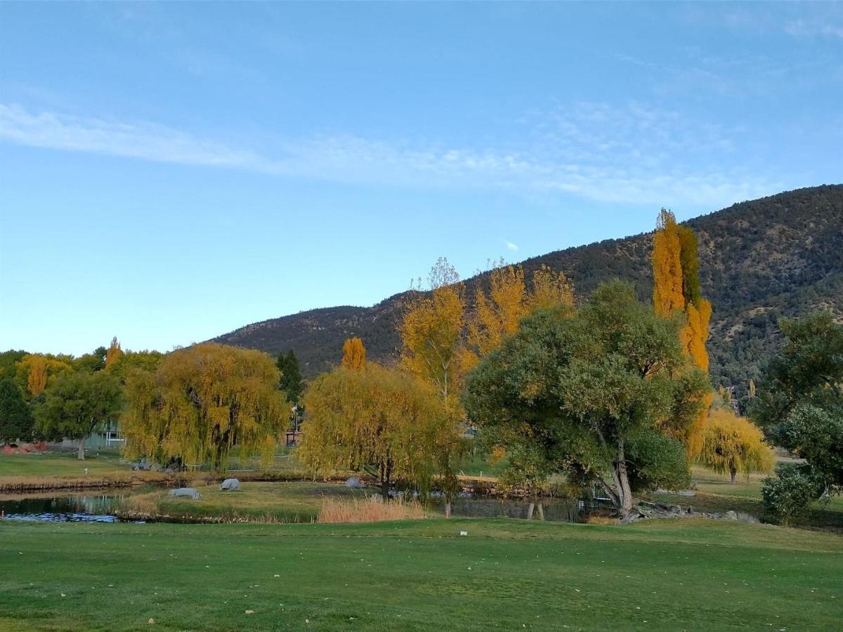 The Old Bear Bnb Pine Mountain Club ภายนอก รูปภาพ